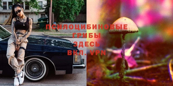 прущие крисы Алзамай
