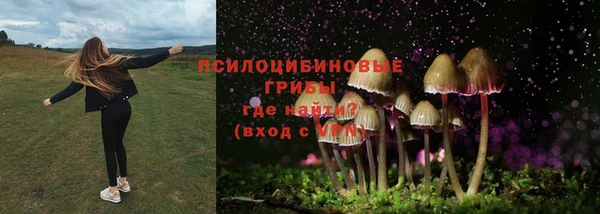 кокаин премиум Алексеевка