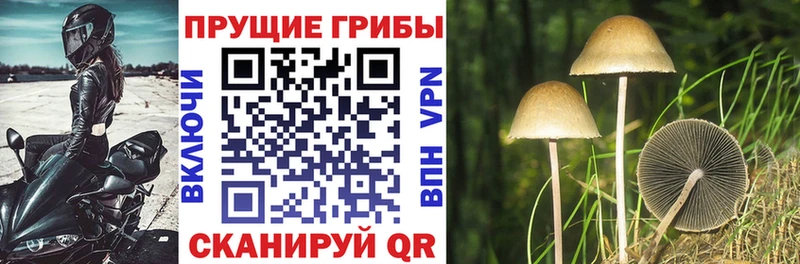 Галлюциногенные грибы MAGIC MUSHROOMS omg онион Солигалич